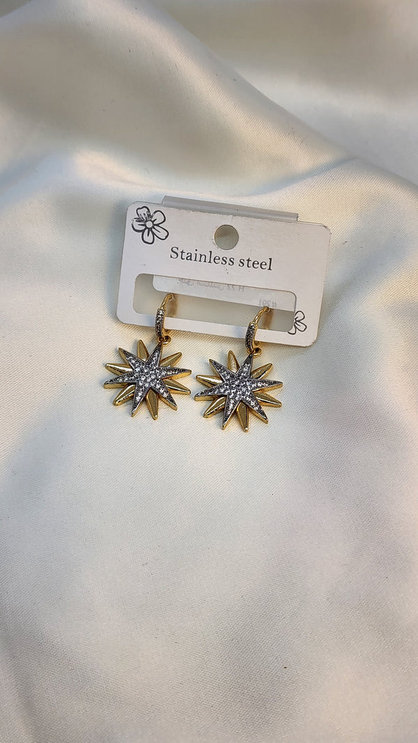 Star fashion earrings